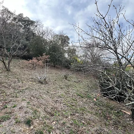Le Carmagnol
