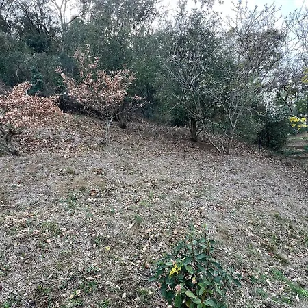 Le Carmagnol * Caramany