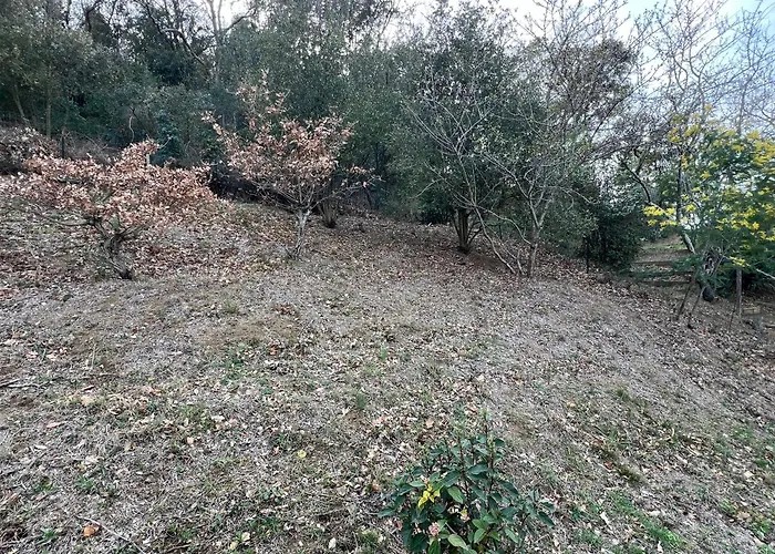 Le Carmagnol * Caramany